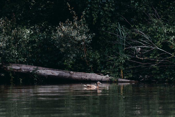 Guided Kayaking on the Nalón River, Oviedo - Booking and Cancellation