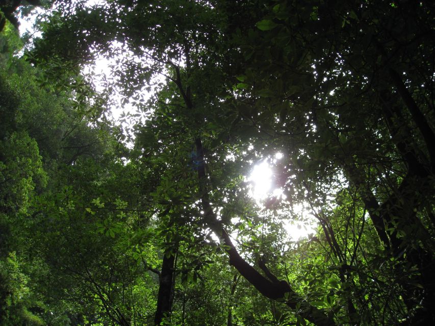 Hidden Corners, the Kings Levada Full Day Hike - Frequently Asked Questions