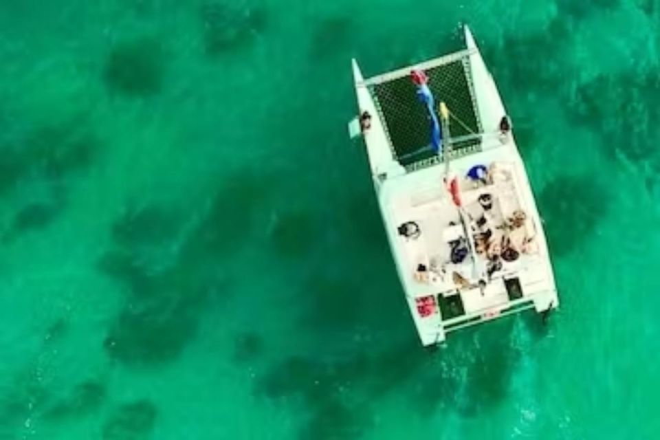 Honolulu: Marine Life Boat Tour on Waikiki Catamaran Charter - Boat and Crew