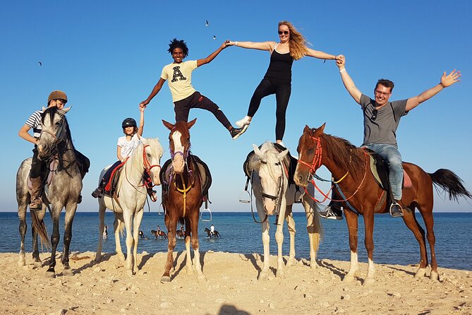 Horse Riding Tour 2 Hours Sea and Desert With Transfer - Hurghada - Cancellation Policy