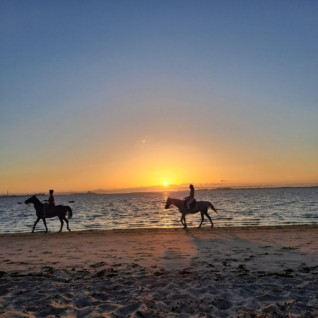 Horseback Marriage Proposal on the Beach - Pricing and Booking