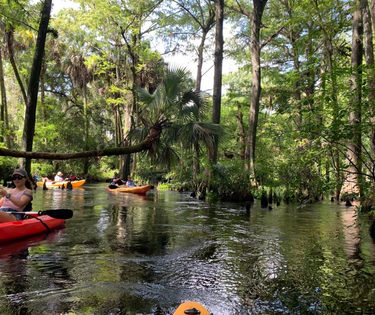 Jupiter: Loxahatchee River Scenic Kayak Tour - Getting There