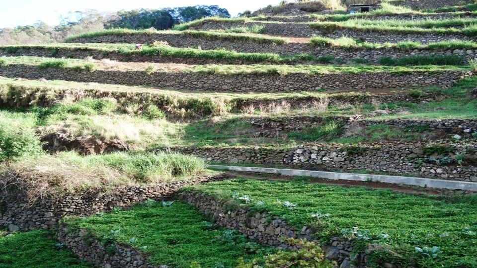 Madeira: Private Hike From Levada Do Caniçal to Machico - Recap