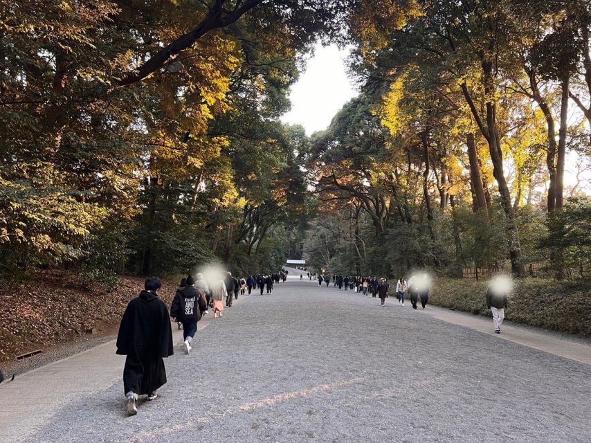 Meiji Shrine Visit and Shopping & Sweets Tour in Harajuku - Booking Information