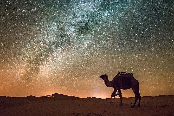 Merzouga Camel Ride & Overnight Desert Camps - Confirmation and Accessibility Details