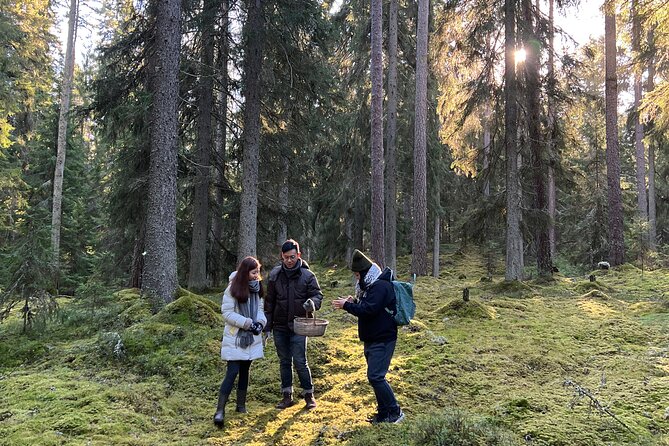 Mushroom Hunting in a National Park - Confirmation and Accessibility