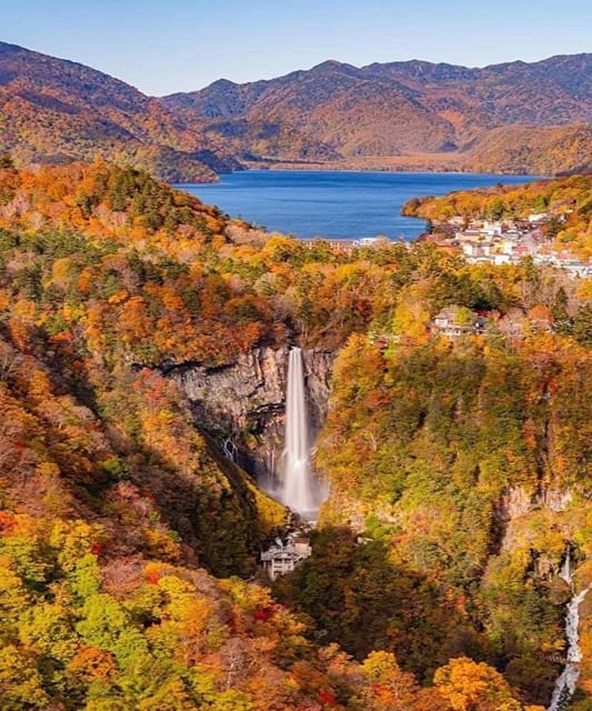 Nikko Group Bus Tour Review: A Day of Adventure - Toshogu Shrine Grandeur