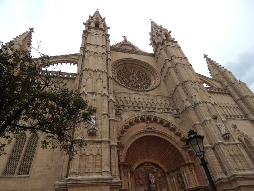 Palma Old Town for the First Time - Language and Accessibility