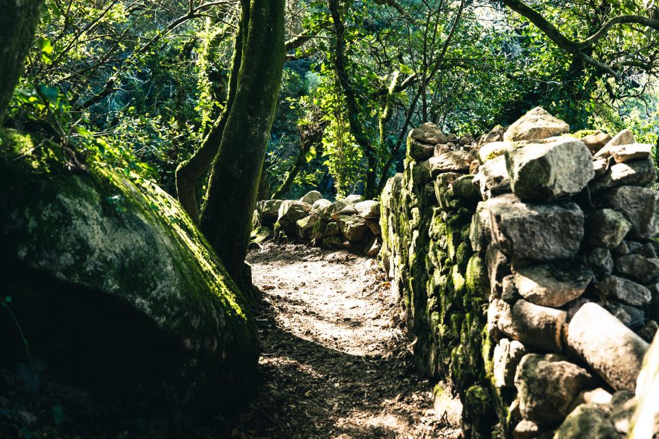 Pena Palace, Moorish Castle,Quinta Ad Regaleira:Walking Tour - Quinta Da Regaleira