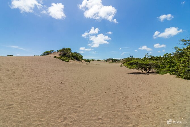 Pink Lakes & Sand Dunes of Baní - Unique Private Full-Day Tour - Discovering the Sand Dunes