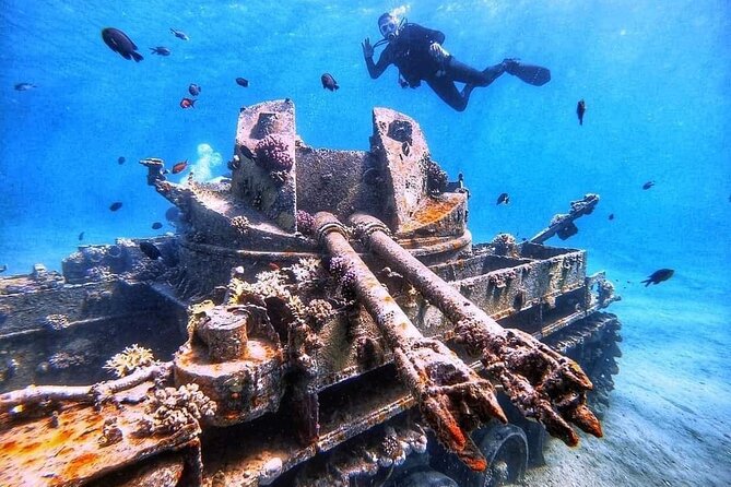 Private Diving Experience in The Heart of Red Sea in Aqaba - Transportation to Dive Site