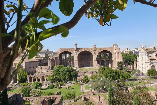 Rome: Colosseum, Roman Forum & Palatine Hill Experience - Cancellation Policy