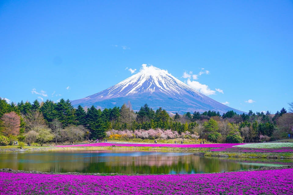 Tokyo:Private Mt Fuji Sightseeing Tour in Luxury Landcruiser - Free Cancellation and Refund