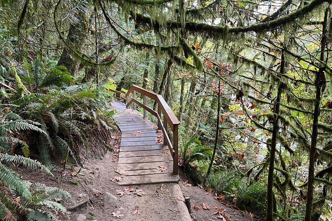 Vancouver Rainforest Hike With Waterfalls, Suspension Bridge, Old Growth Forest - Accessibility