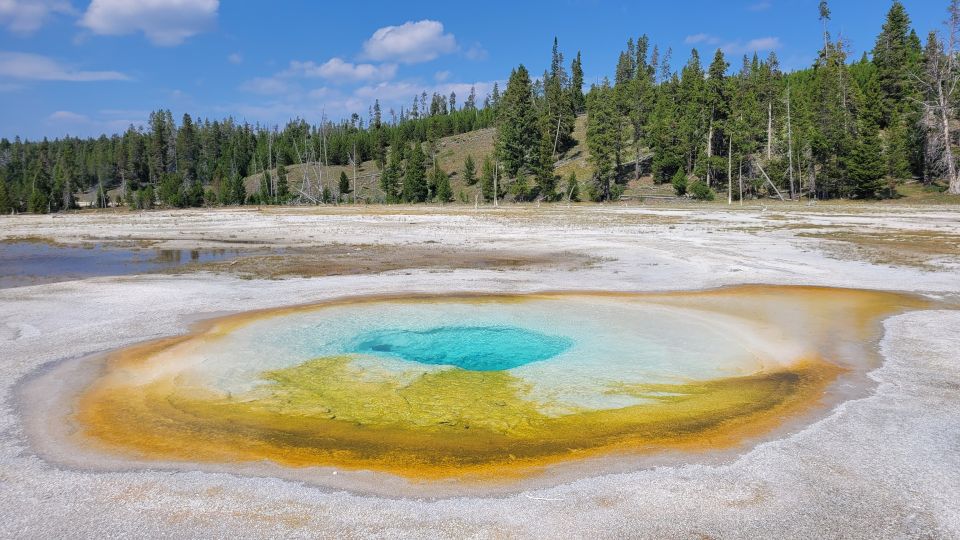 Yellowstone National Park Private Day Tour - Customizable Itinerary