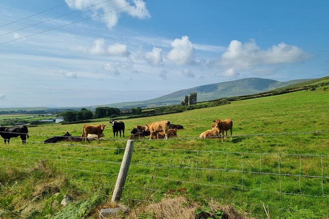 4 Hour Slea Head Drive Tour - Personal Chauffeur Guided Tour - Dingle Peninsula Highlights