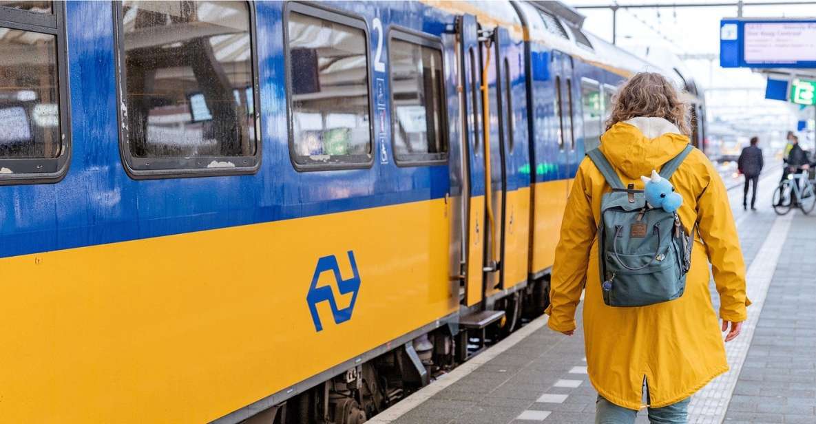 Amsterdam: Train Transfer Amsterdam From/To Rotterdam - Onboard Amenities and Facilities