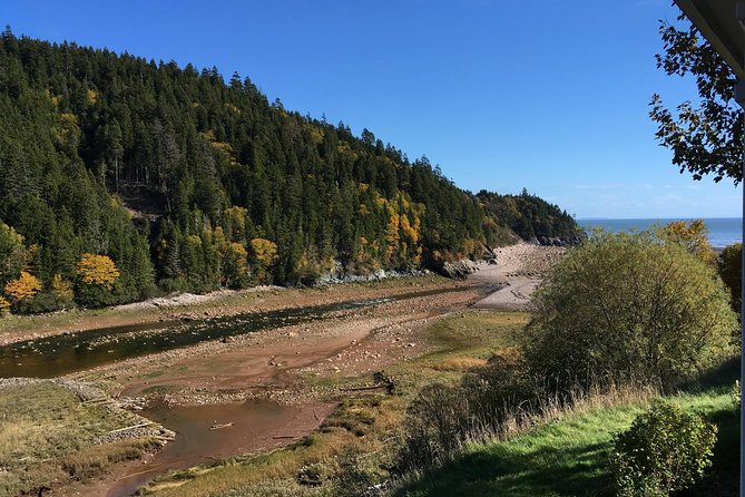 Bay of Fundy Tour by Bus - Additional Information