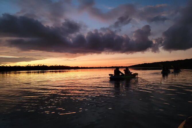 Bioluminescent Glowing Bay Kayaking Adventure in Puerto Rico - What to Expect