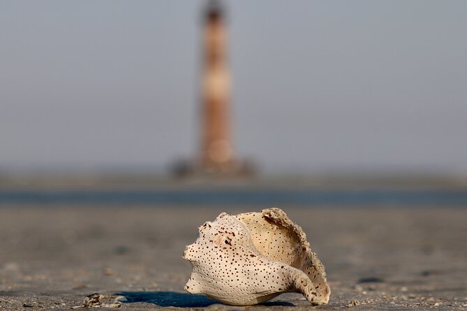 Charleston Eco Boat Cruise With Stop at Morris Island Lighthouse - Booking and Pricing Details