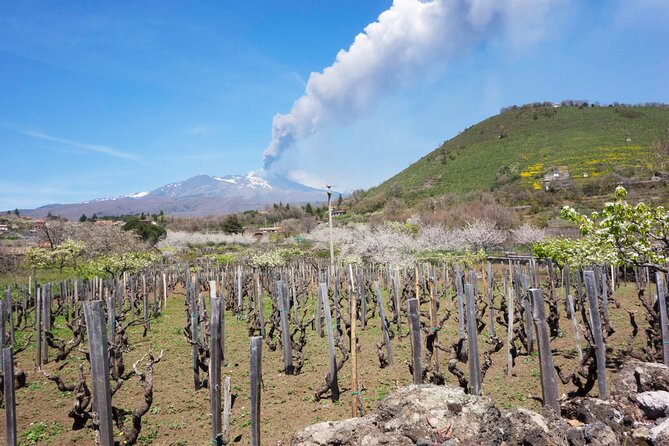 Etna Private Tour From Messina Cruise Terminal + Lunch at Winery - Visit a Honey Shop for Tastings