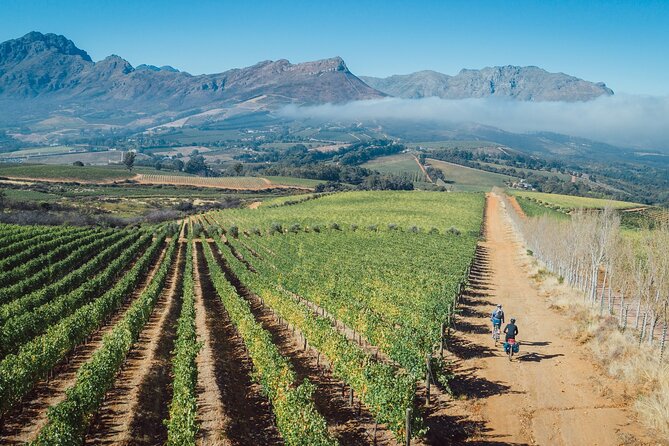 Franschhoek Sip & Cycle Experience Full Day - Private Tour - Included Amenities