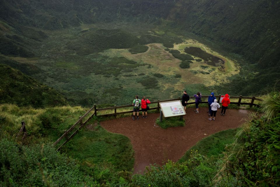 From Horta: Guided Faial Island Tour - Discovering Capelinhos Volcano