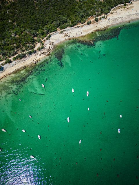 From Lisbon: Arrábida, Azeitão, Sesimbra, Palmela, Setúbal. - Tour Duration and Languages