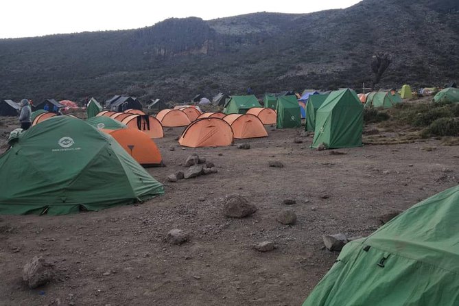 Kilimanjaro Climbing Via Machame Route 8 Days - Physical Fitness Requirements