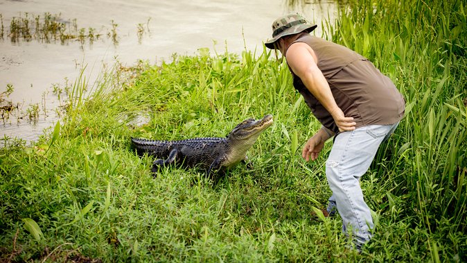 Large Airboat Ride With Transportation From New Orleans - Discovering Cajun Culture