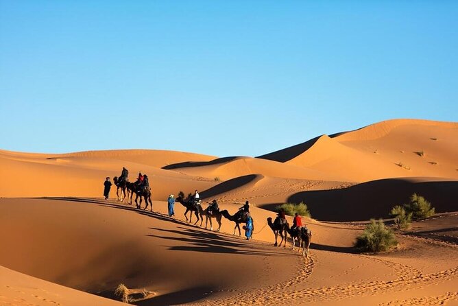 Merzouga Camel Ride & Overnight Desert Camps - Recommendations and Restrictions