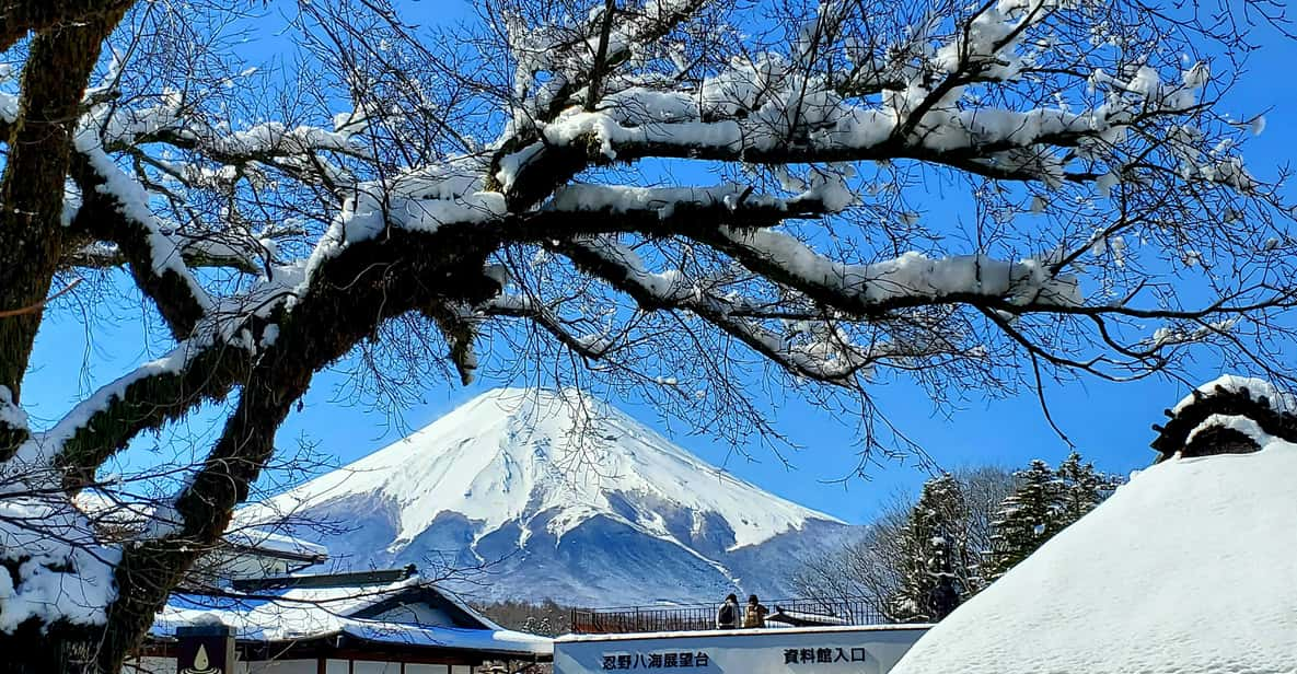 Mt. Fuji and Hakone: Full Day Private Tour W English Guide - Immerse in Oshino Hakkai