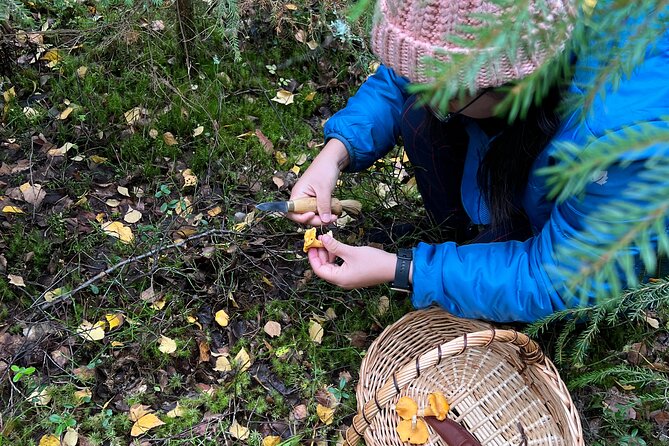 Mushroom Hunting in a National Park - Traveler Reviews and Ratings