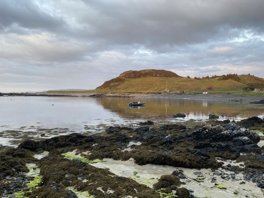 North Scotland Islands Rib Tour - Tour Booking and Pricing