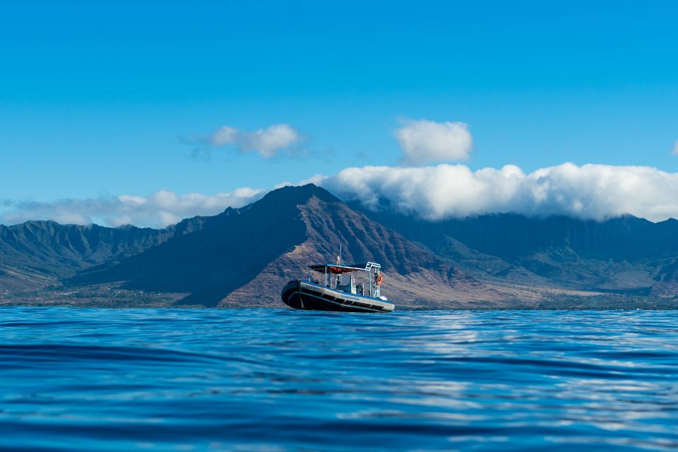 Oahu: Dolphin Swim and Snorkeling Speedboat Tour - Gear and Amenities