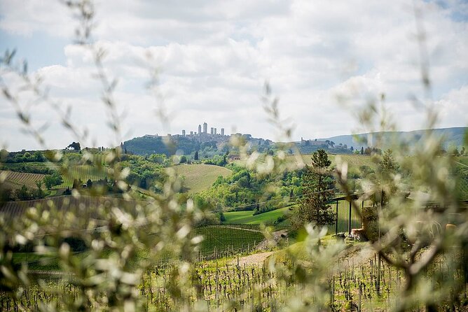 Private Tuscany Tour to Siena and San Gimignano With Winery Lunch - Memorable Lunch and Countryside Experiences