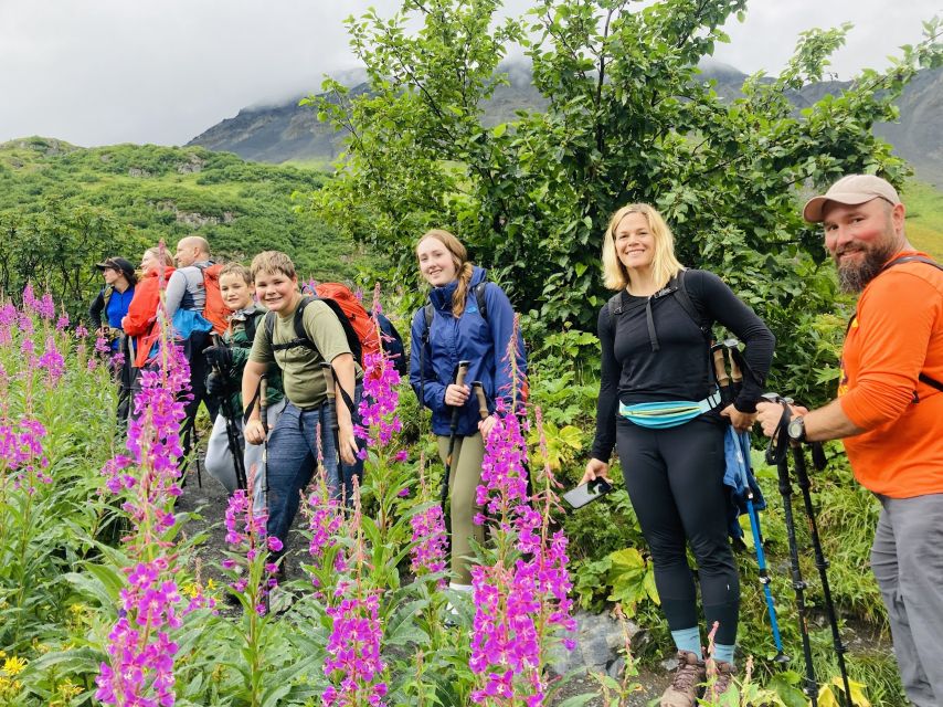 Seward: Guided Wilderness Hike With Transfer - What to Expect on the Hike