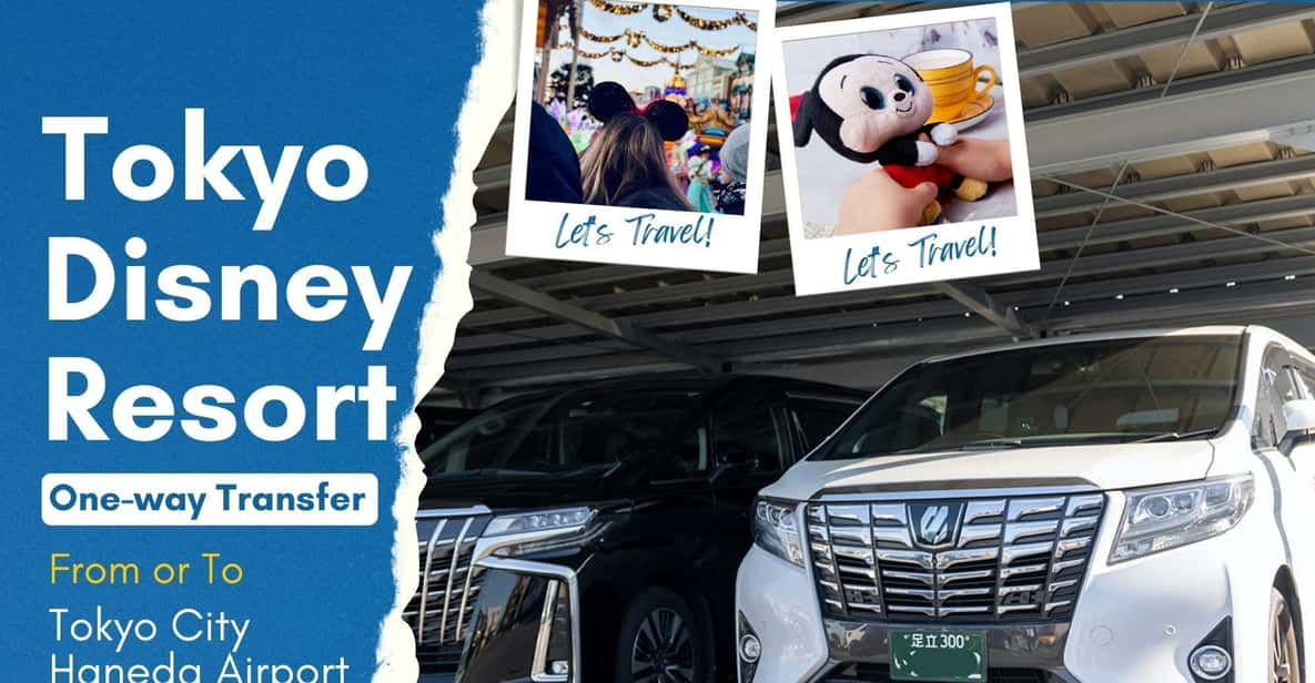 Tokyo Disney Resort Private Transfer: Tokyo, Narita & Haneda - Vehicle and Accessibility