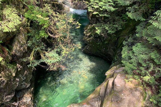 Vancouver Rainforest Hike With Waterfalls, Suspension Bridge, Old Growth Forest - Pricing and Booking