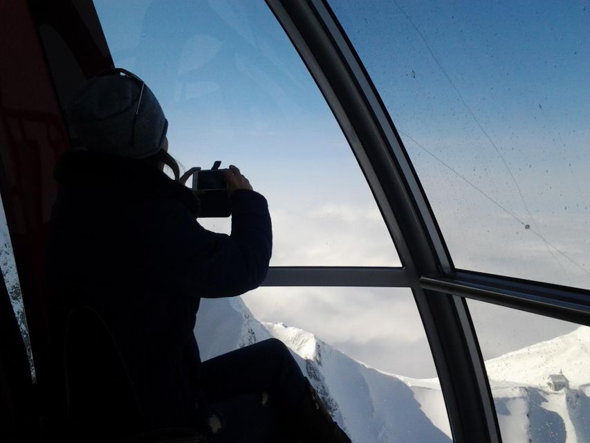 Winter Panorama Mount Pilatus: Small Group Tour From Basel - Ascent to Mount Pilatus Summit