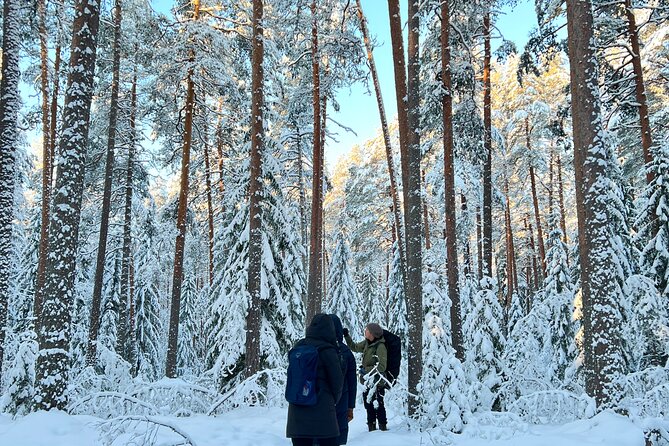 Winter Wonderland Hike in a National Park - Cancellation and Refund