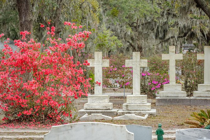 Wormsloe Historic Site & Bonaventure Cemetery Tour From Savannah - Transportation and Meeting Point