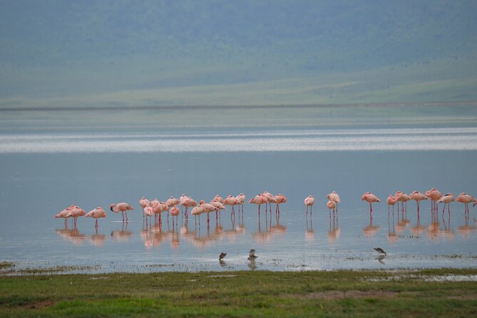 4 Days Serengeti & Ngorongoro Mid Range Tour - Frequently Asked Questions