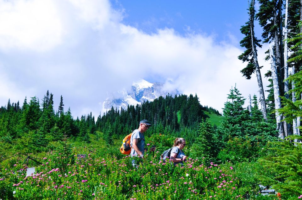 Customized Mount Rainier Tour From Seattle - Pickup and Drop-off Locations