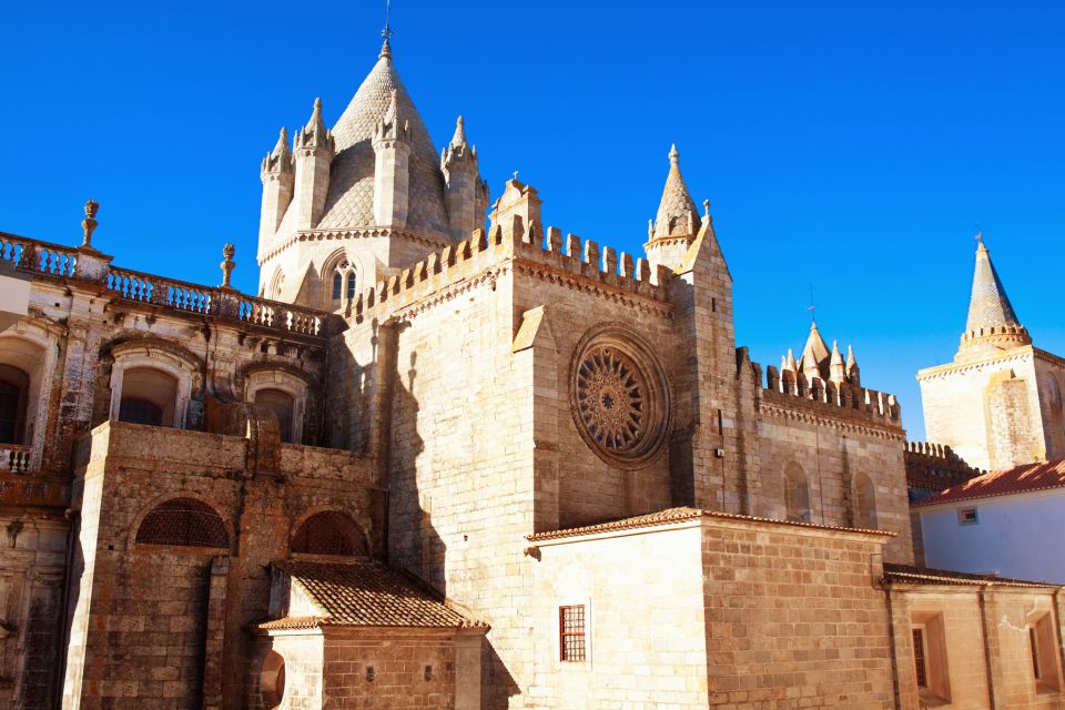 Évora: Full-Day Wine Tour - Important Considerations