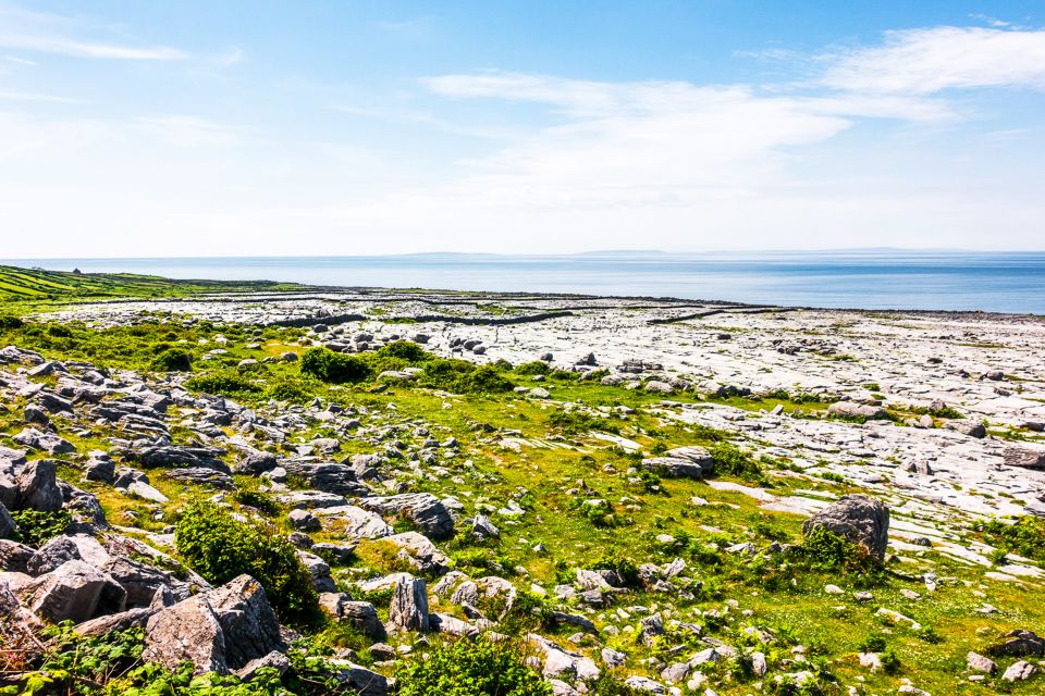 From Dublin: Cliffs of Moher, Burren & Galway City Day Tour - Time in Galway City