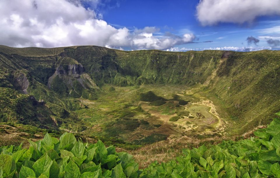 From Horta: Guided Faial Island Tour - Scenic Viewpoints of Faial