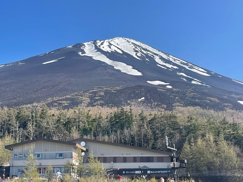 From Tokyo: Private Mt. Fuji Tour With Guide - Avoiding Traffic and Delays