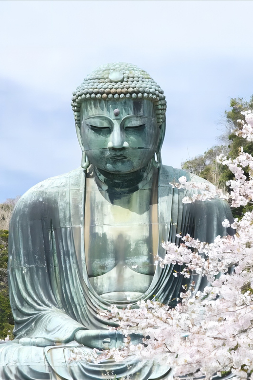 From Tokyo to Kamakura: Great Buddha & Slam-Dunk Fan Tour - Recap