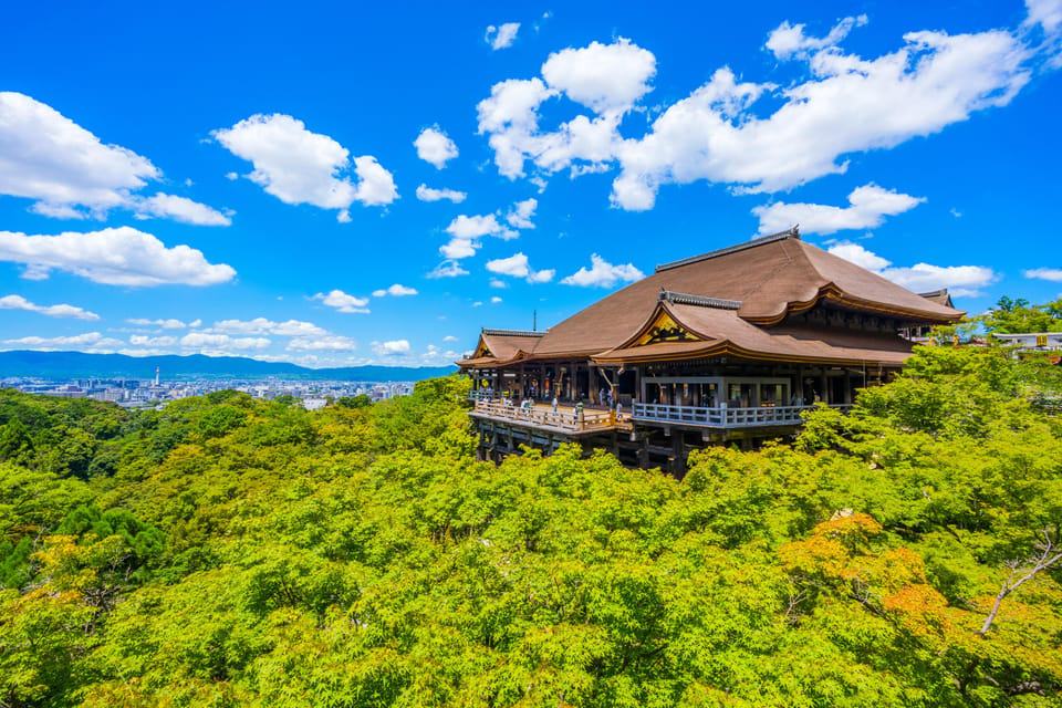 Kyoto Day Trip! Private Customizable Tour Review - Pricing and Cancellation